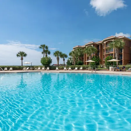 Mediterranea 212D By Newman-Dailey